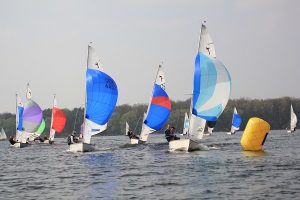 IMG 4959