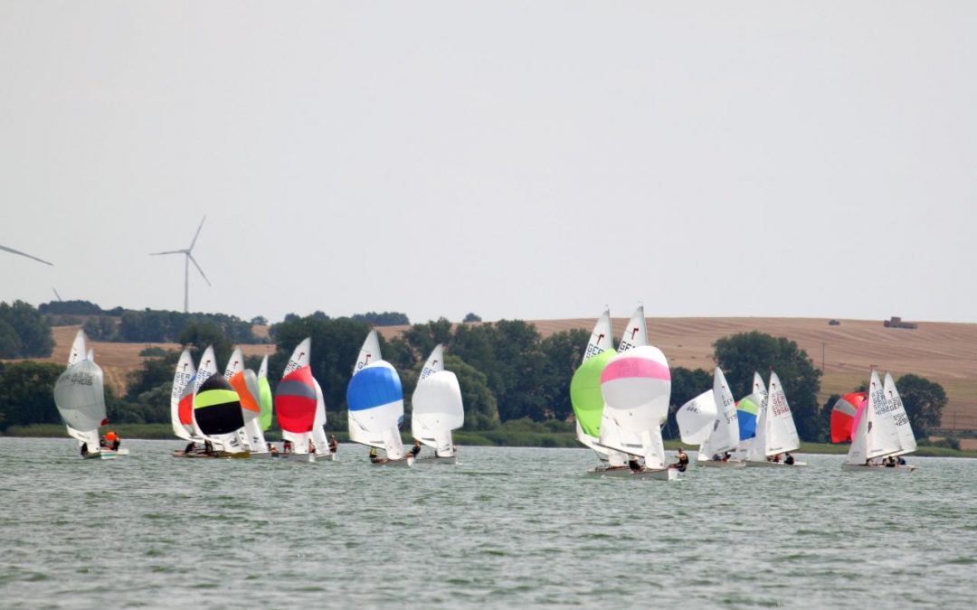 Bericht IDJBE 2019